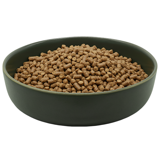 trockenfutter-hyperallergene-hunde