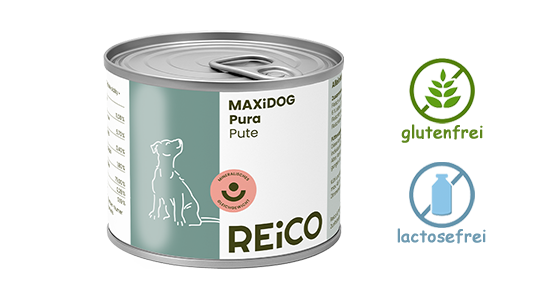 MaxiDogVit Schonkost Pute - Reico Nassfutter