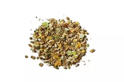 MaxiDog Flockenmix von Reico